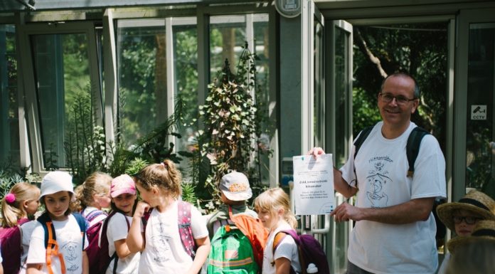 A hit és természet kapcsolata – Zöld természetvédő hittantábor Mórahalmon