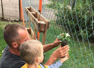 Harmadik alkalommal lett „zöld óvoda” a mórahalmi