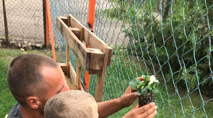 Harmadik alkalommal lett „zöld óvoda” a mórahalmi