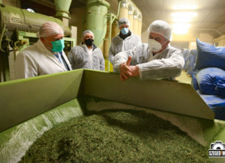 300 millió forinttal támogatja a kormány az üllési fűszernövény-feldolgozó üzemet