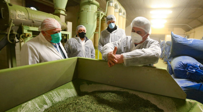 300 millió forinttal támogatja a kormány az üllési fűszernövény-feldolgozó üzemet