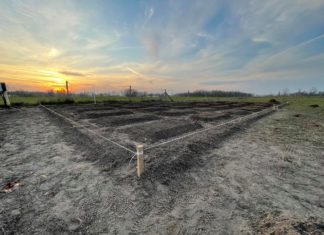 120 ezer virággal és új kikapcsolódási lehetőségekkel várja látogatóit idén a mórahalmi tulipános kert