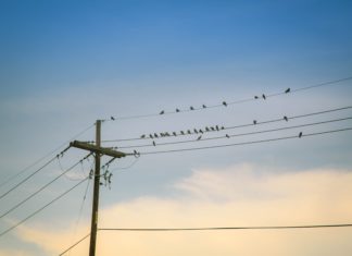 Áramszünet várható Ásotthalmon