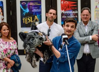 Jubileumi koncerttel indul a nyár a lovasszínházban