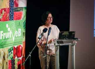 A kertészeteket érintő témáról is szó volt a mórahalmi szakmai találkozón