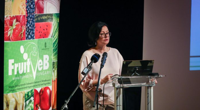 A kertészeteket érintő témáról is szó volt a mórahalmi szakmai találkozón