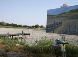 Együtt lélegezve az állatokkal, együtt létezve a tájjal – A Homokháti Művésztelepre látogattunk