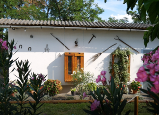 A bordányi kamasz fiú mesebeli udvarával pályázik az Év Kertje-díjra