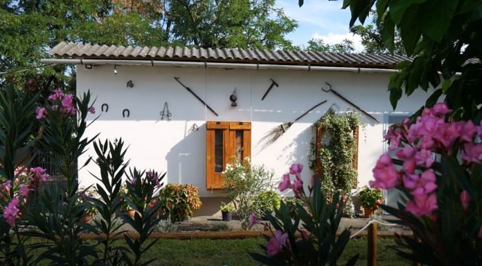 A bordányi kamasz fiú mesebeli udvarával pályázik az Év Kertje-díjra