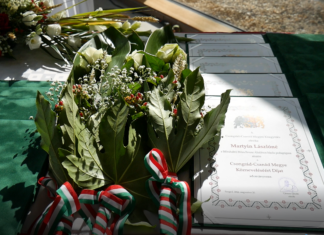 Három mórahalmi a megye díjazottjai között