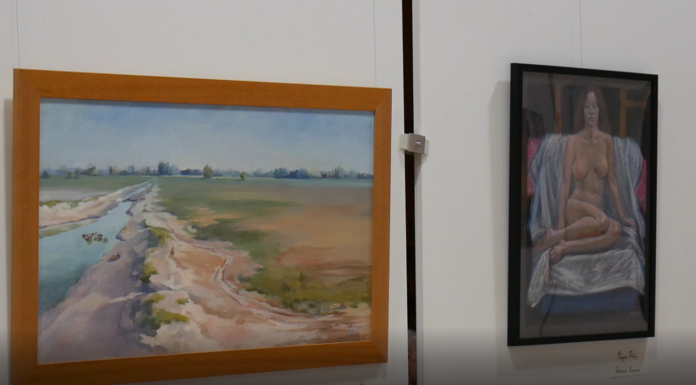 Művészeti szalonná alakult a mórahalmi Kolo