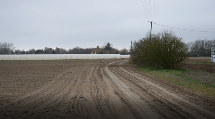 Domaszéken a külterületi utakat is felújítják