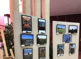 A Homokhátság fotókon – a mórahalmi Aranyszömben