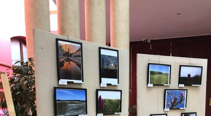 A Homokhátság fotókon – a mórahalmi Aranyszömben