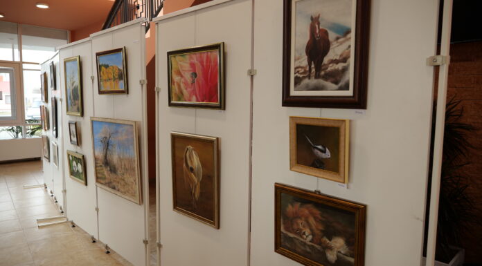 Anya és lánya festményei a mórahalmi KOLO-ban