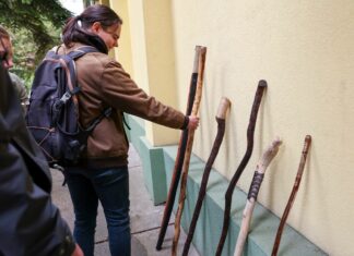 Túrabotokat faragtak az ásotthalmi erdészetis diákok