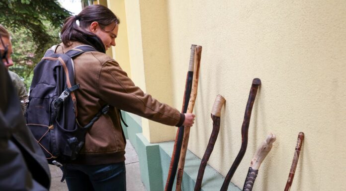 Túrabotokat faragtak az ásotthalmi erdészetis diákok