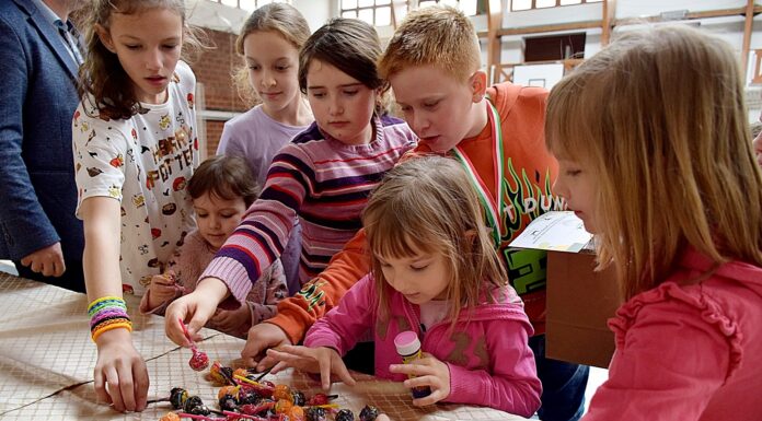 Családi pikniket rendezett a domaszéki önkormányzat