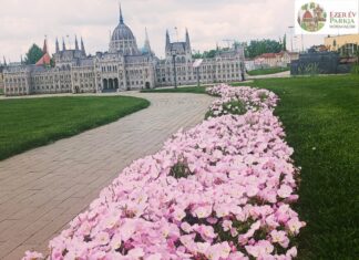 Virágba borultak a mórahalmi Ezer Év Parkjának növényágyásai