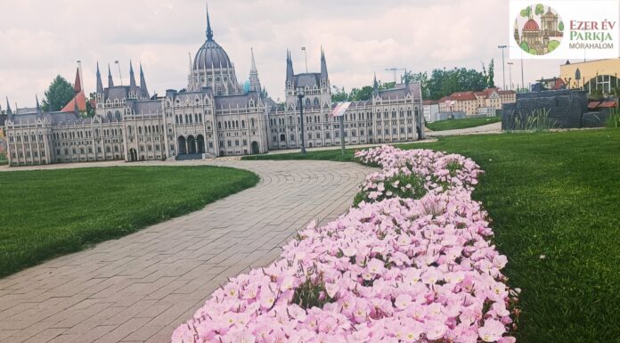 Virágba borultak a mórahalmi Ezer Év Parkjának növényágyásai