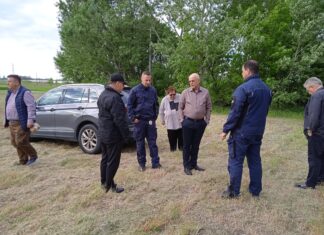 Változik a parkolási rend a mórahalmi lovas színháznál