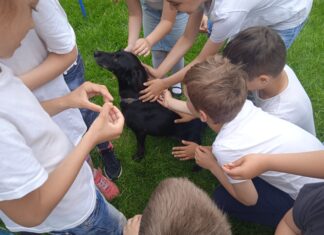 Kutyás délelőttöt kaptak gyereknapra a mórahalmi katolikus iskola diákjai