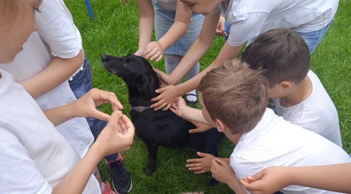 Kutyás délelőttöt kaptak gyereknapra a mórahalmi katolikus iskola diákjai