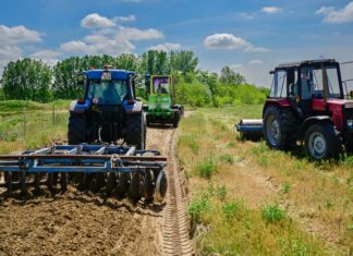 Külterületi utak újulnak meg Mórahalmon