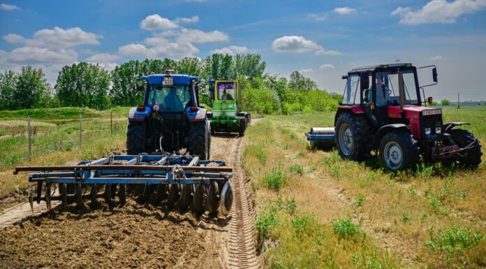 Külterületi utak újulnak meg Mórahalmon
