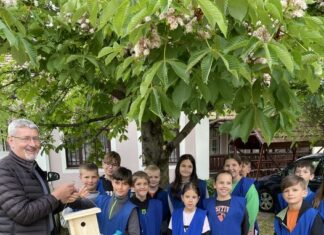 Madárodút kapott a mórahalmi plébánia