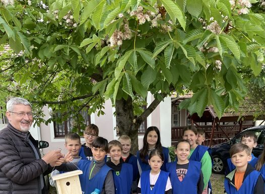 Madárodút kapott a mórahalmi plébánia