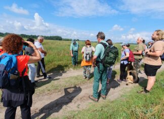 Séta határtalanul – gyalogtúra a szerb-magyar határ két oldalán