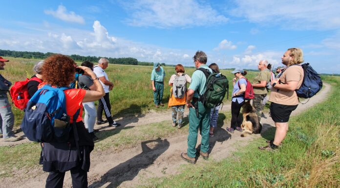 Séta határtalanul – gyalogtúra a szerb-magyar határ két oldalán
