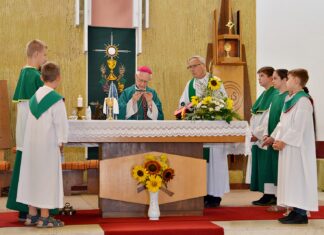 Domaszék díszpolgára lett Gyulay Endre nyugalmazott megyéspüspök