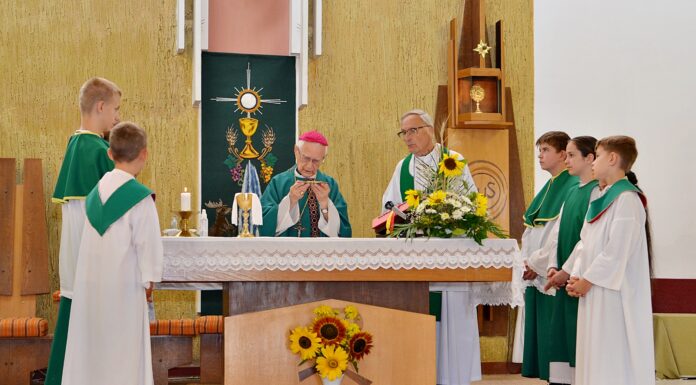 Domaszék díszpolgára lett Gyulay Endre nyugalmazott megyéspüspök