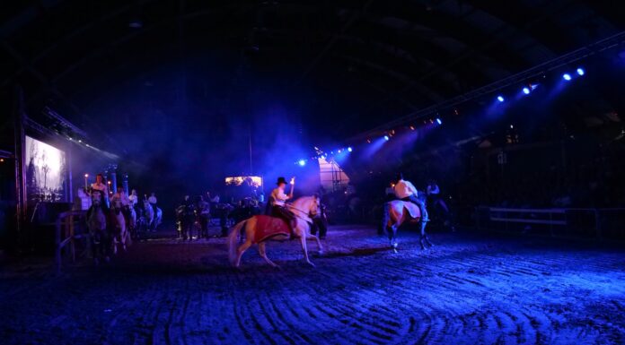 Teltházzal futott a Kincsem, a verhetetlen csodakanca története Mórahalmon