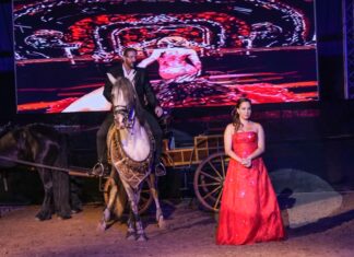 Imádta a közönség a mórahalmi Csárdáskirálynőt