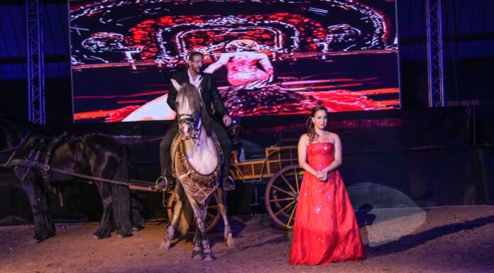 Imádta a közönség a mórahalmi Csárdáskirálynőt