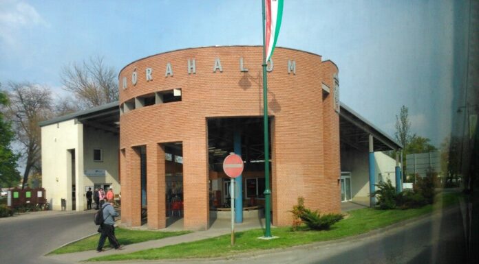 Az összes Mórahalomról induló és a Szeged-Röszke-Mórahalom közötti buszjárat frissített menetrendjei