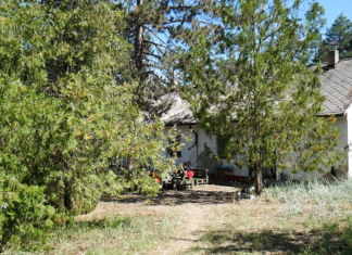 Rászoruló gyermekek táborozhatnak az ásotthalmi erdőben