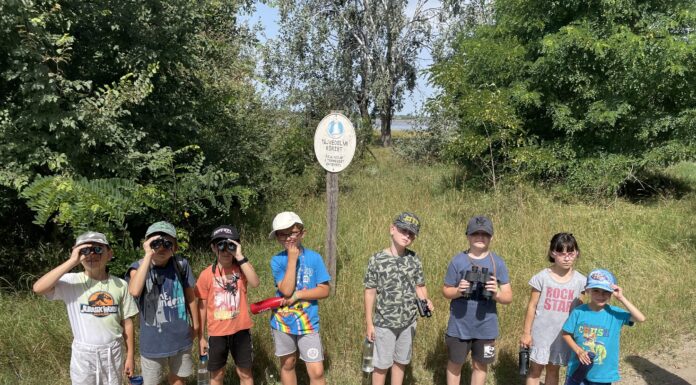 ÖKO tábor a mórahalmi katolikus iskolában