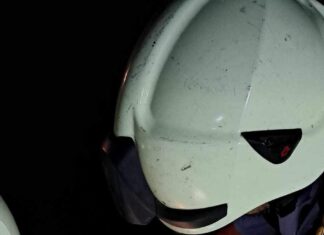 Kutyaéletet mentettek a mórahalmi önkéntes tűzoltók