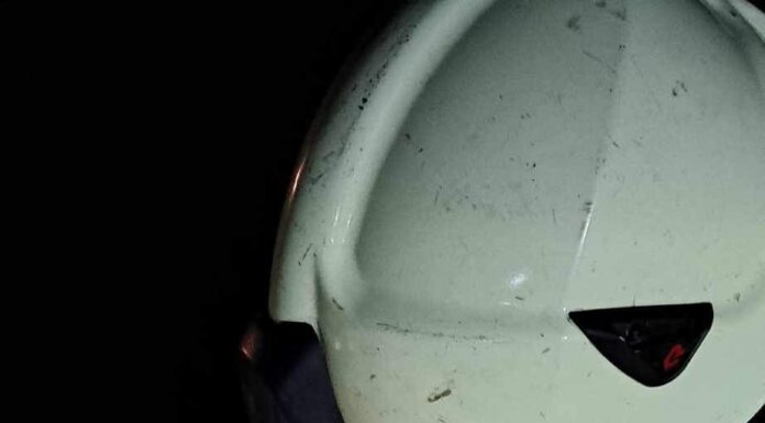 Kutyaéletet mentettek a mórahalmi önkéntes tűzoltók