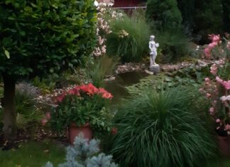 Lakóhelyünk rejtett kincsei: „Kisvárosikert”, a mórahalmi oázis