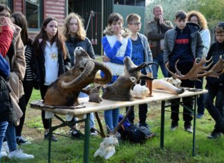 A környezetvédelem fontosságára hívták fel a diákok figyelmét a domaszéki vadászok