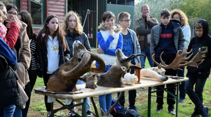 A környezetvédelem fontosságára hívták fel a diákok figyelmét a domaszéki vadászok