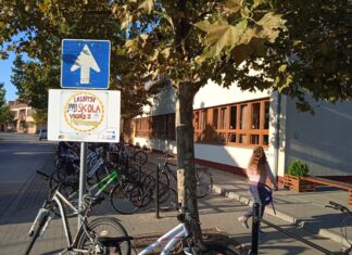 Mórahalmi iskolások év végi sikerei