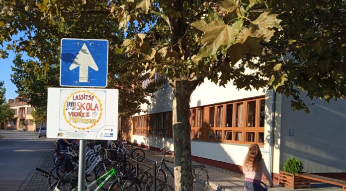 Mórahalmi iskolások év végi sikerei