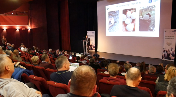 Klímafórum Mórahalmon