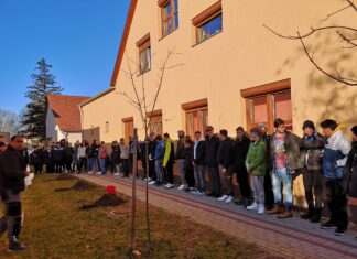Osztályfát ültettek a szakképzős diákok Mórahalmon